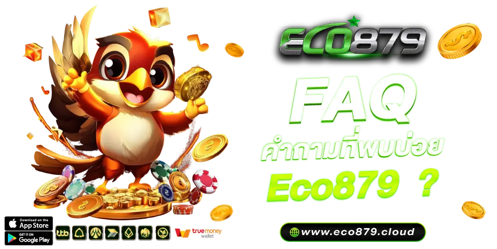 FAQ คำถามที่พบบ่อย Eco879